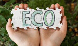 Fremveksten av &laquo;Ecological Premium&raquo;: hvorfor den riktige prisen blir den nye normen