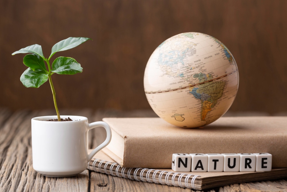 Usikkerhetenes grønne gull: når klimaet redesigner fransk entreprenørskap
